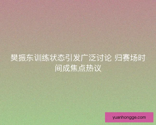 樊振东训练状态引发广泛讨论 归赛场时间成焦点热议